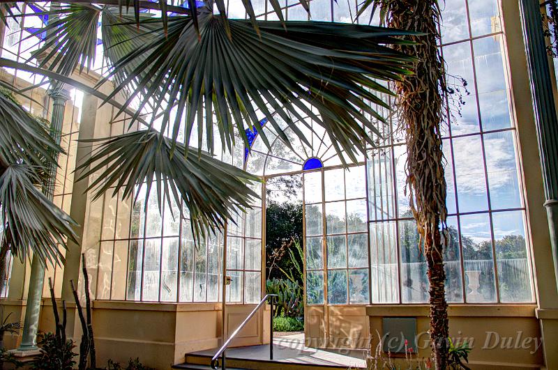 Glasshouse, Adelaide Botanic Gardens IMGP8832_3_4_fused.jpg